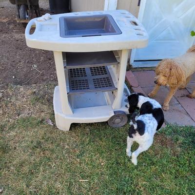 Suncast Garden/Potting Cart