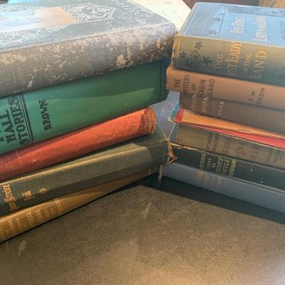Vintage Book Lot Hardy Boys Religion More