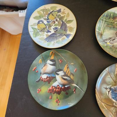Lot of 6 Knowles Plates Birds of Your Garden