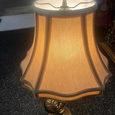 Snail Design Brass Table Lamp (B2-MG)