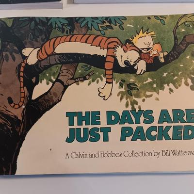Three Calvin and Hobbs Comic books