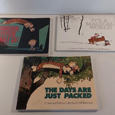 Three Calvin and Hobbs Comic books