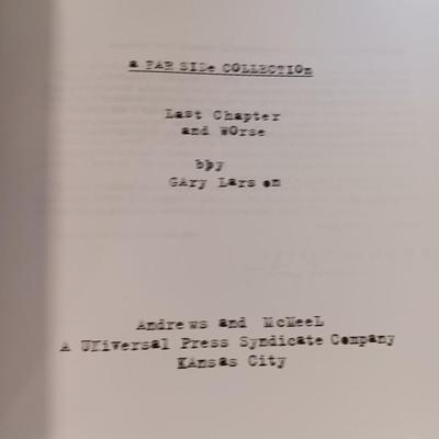 Collection of Comic books Peanuts gang - Dilbert - Calvin & Hobbes - Far Side