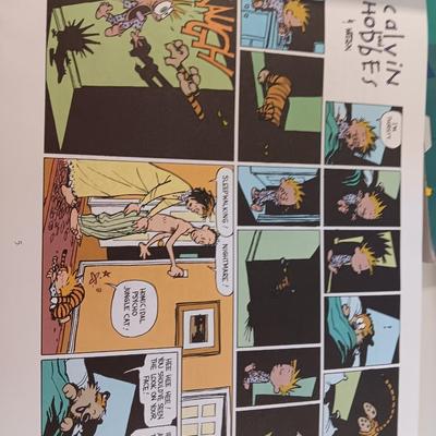 Collection of Comic books Peanuts gang - Dilbert - Calvin & Hobbes - Far Side