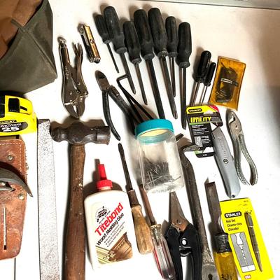G1977 Canvas Tool Bag Full of Various Tools