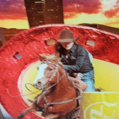Wood framed National Western Stock show-stained textured glass artwork