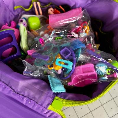 The Whole Poly Pockets Play set