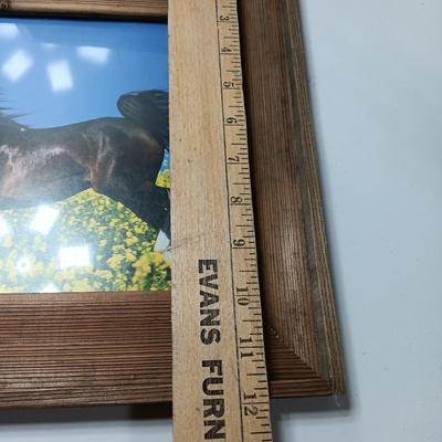 Western framed barnwood picture frame with faux barbed wire and barn wood framed horse picture