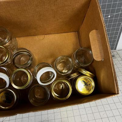 One Dozen Pint Jars