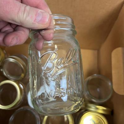 One Dozen Pint Jars