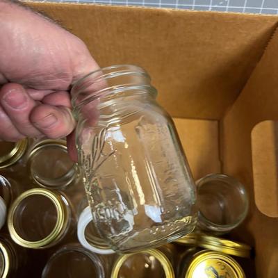 One Dozen Pint Jars