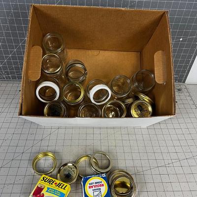 One Dozen Pint Jars