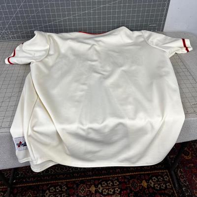 San Francisco GIANTS Team Jersey 