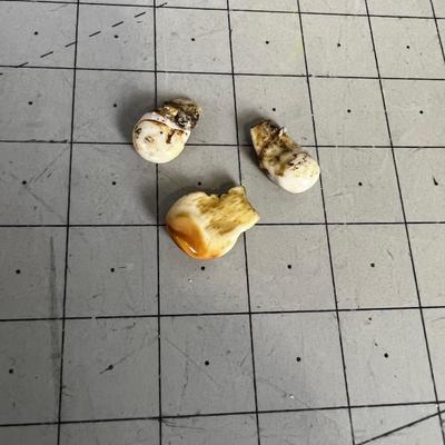 Elk Ivory Single and A Pair of Teeth. 