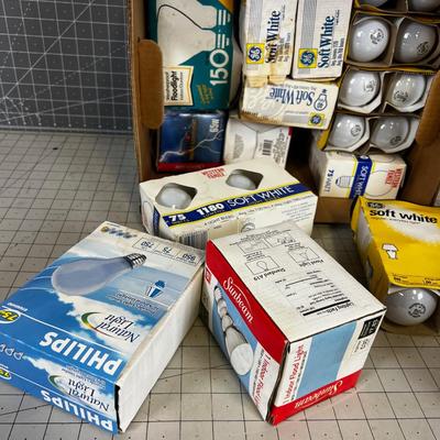 Super Box of Incandescent Light Bulbs