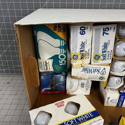 Super Box of Incandescent Light Bulbs