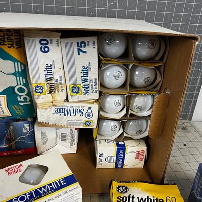 Super Box of Incandescent Light Bulbs