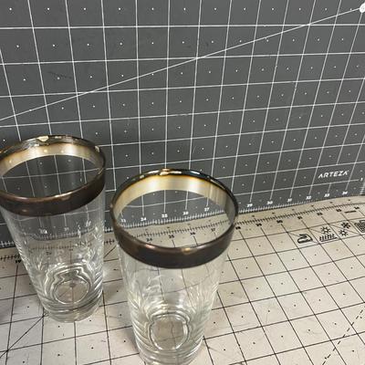 Dorothy Thorp Silver Rimmed (4) Tumblers 
