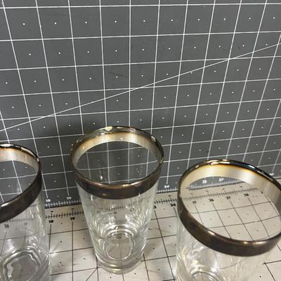 Dorothy Thorp Silver Rimmed (4) Tumblers 