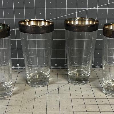Dorothy Thorp Silver Rimmed (4) Tumblers 