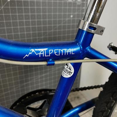 ALPENTAL Torker BMX Bike Blue 12" ON Frame 