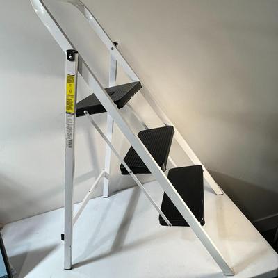 â€œSKINNY MINIâ€ FOLDING STEP LADDER