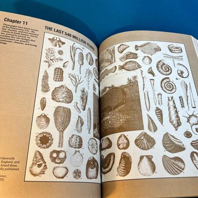 â€œTHE FIELD GUIDE TO GEOLOGYâ€ EXCELLENT BASIC REFERENCE BOOK