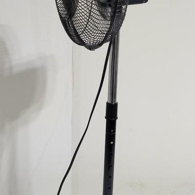Massey Brand Oscillating Fan