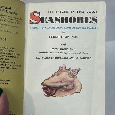 1955 Vintage Golden Guide to Seashores 458 Species Full Color Animals and Plants Along the Beaches