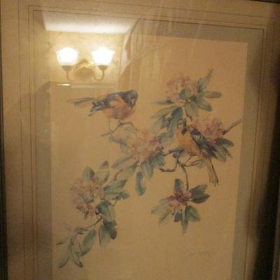 Framed Artwork Baltimore Oriole by Cecil Golding - F
