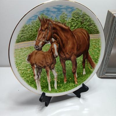 8" Berkshire English bone China collectible horse plate and small barnwood framed shadow box / display case