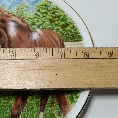 8" Berkshire English bone China collectible horse plate and small barnwood framed shadow box / display case