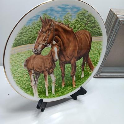 8" Berkshire English bone China collectible horse plate and small barnwood framed shadow box / display case