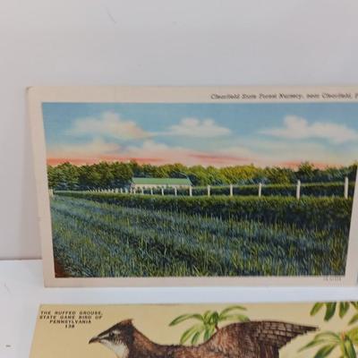 Vintage Linen post cards All Pennsylvania - Clearfield - Crystal cave - 1940's