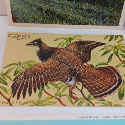 Vintage Linen post cards All Pennsylvania - Clearfield - Crystal cave - 1940's
