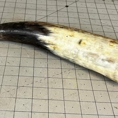 POWDER HORN