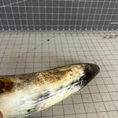 POWDER HORN
