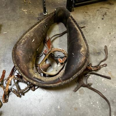 Horse Collar, Reins, Bit etc. 