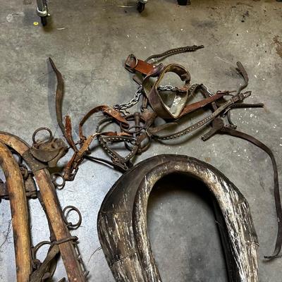 Horse Collar, Reins, Bit etc. 