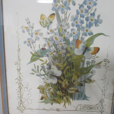 Ladysmock Victorian Flowers By Paul Jernad - H