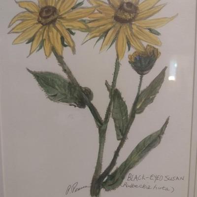 Pair of Framed Art Botanical Prints by Pearson