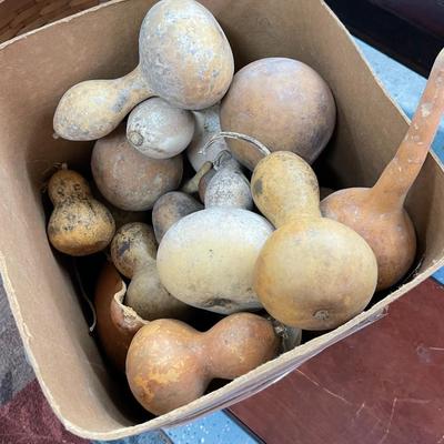Box of Miscellaneous Gourds for Painting