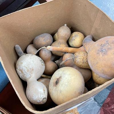 Box of Miscellaneous Gourds for Painting