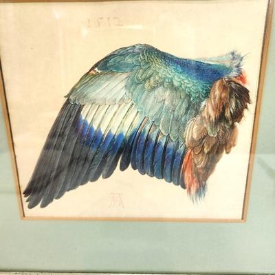 Lot #33 Vintage "Winged European Roller" Print - from the 1512 Original