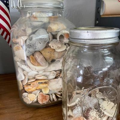 4 Jars of Shells