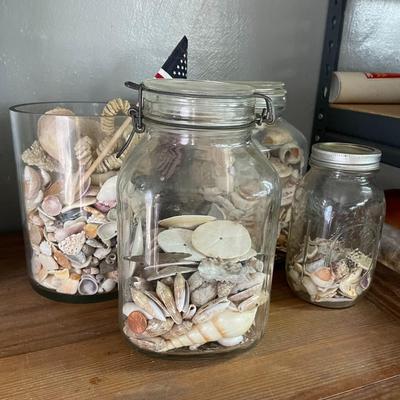 4 Jars of Shells