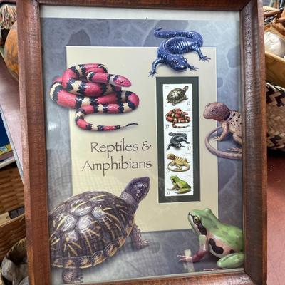 Framed Stamp Collection