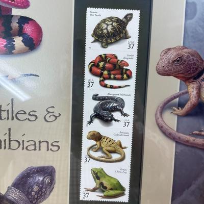 Framed Stamp Collection