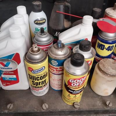 GARAGE CHEMICALS AND A GAS CAN