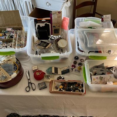 UB2026 Sewing Buttons and Accessories Lot
